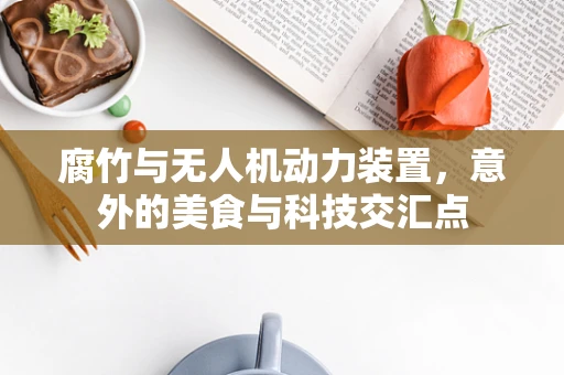 腐竹与无人机动力装置，意外的美食与科技交汇点