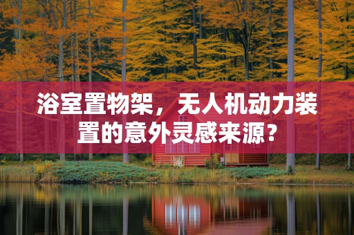 浴室置物架，无人机动力装置的意外灵感来源？