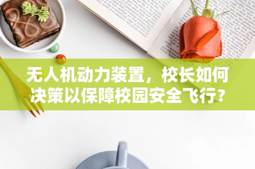 无人机动力装置，校长如何决策以保障校园安全飞行？