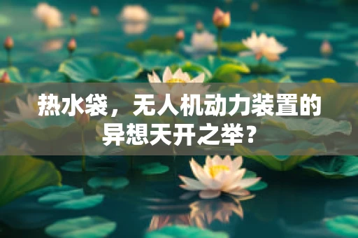 热水袋，无人机动力装置的异想天开之举？