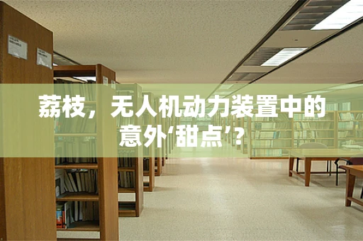 荔枝，无人机动力装置中的意外‘甜点’？