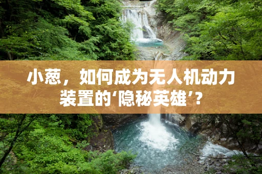 小葱，如何成为无人机动力装置的‘隐秘英雄’？