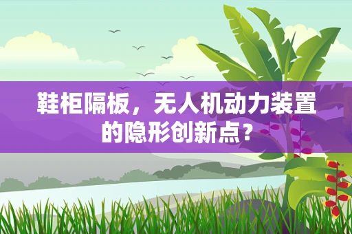 鞋柜隔板，无人机动力装置的隐形创新点？