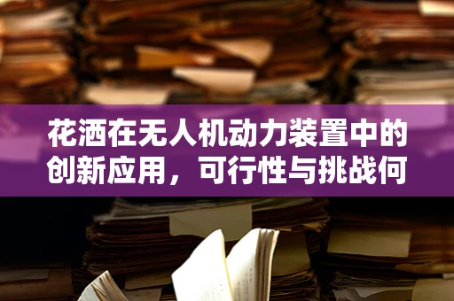 花洒在无人机动力装置中的创新应用，可行性与挑战何在？