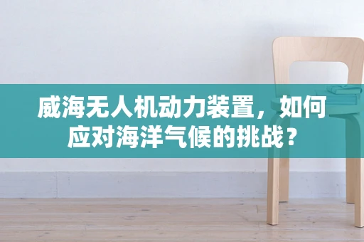 威海无人机动力装置，如何应对海洋气候的挑战？