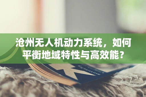 沧州无人机动力系统，如何平衡地域特性与高效能？