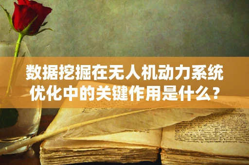 数据挖掘在无人机动力系统优化中的关键作用是什么？