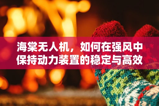 海棠无人机，如何在强风中保持动力装置的稳定与高效？