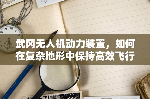 武冈无人机动力装置，如何在复杂地形中保持高效飞行？