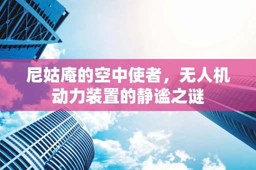 尼姑庵的空中使者，无人机动力装置的静谧之谜