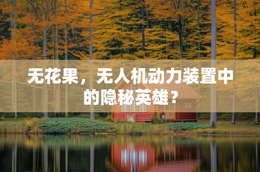 无花果，无人机动力装置中的隐秘英雄？
