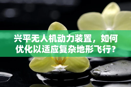 兴平无人机动力装置，如何优化以适应复杂地形飞行？