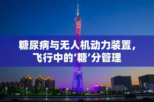 糖尿病与无人机动力装置，飞行中的‘糖’分管理