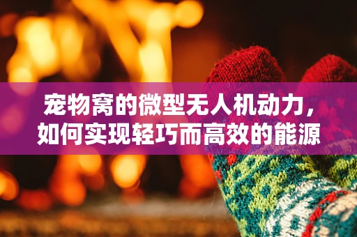 宠物窝的微型无人机动力，如何实现轻巧而高效的能源供应？