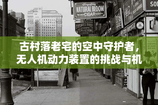古村落老宅的空中守护者，无人机动力装置的挑战与机遇