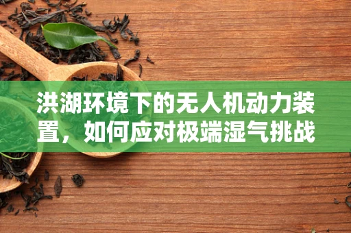 洪湖环境下的无人机动力装置，如何应对极端湿气挑战？