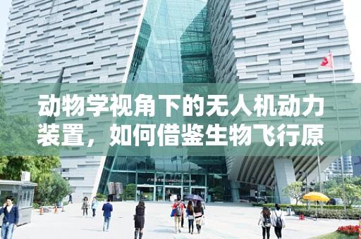 动物学视角下的无人机动力装置，如何借鉴生物飞行原理？