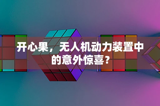 开心果，无人机动力装置中的意外惊喜？