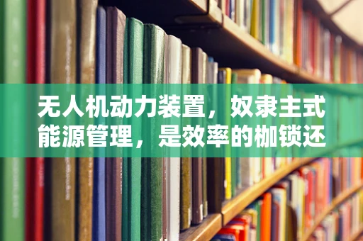 无人机动力装置，奴隶主式能源管理，是效率的枷锁还是创新的契机？
