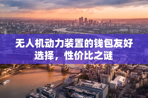 无人机动力装置的钱包友好选择，性价比之谜