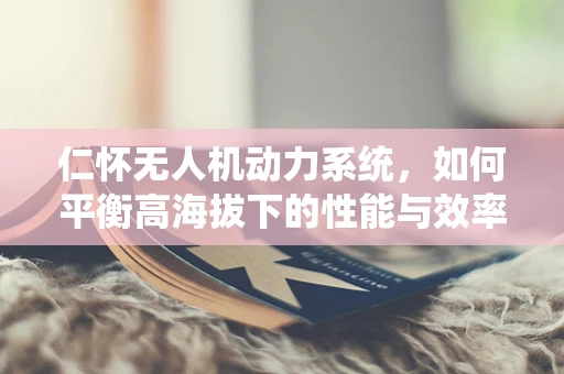 仁怀无人机动力系统，如何平衡高海拔下的性能与效率？