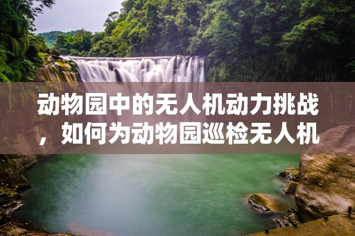 动物园中的无人机动力挑战，如何为动物园巡检无人机选择合适的动力装置？