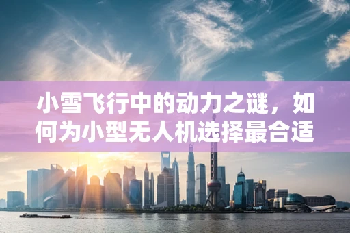 小雪飞行中的动力之谜，如何为小型无人机选择最合适的动力装置？