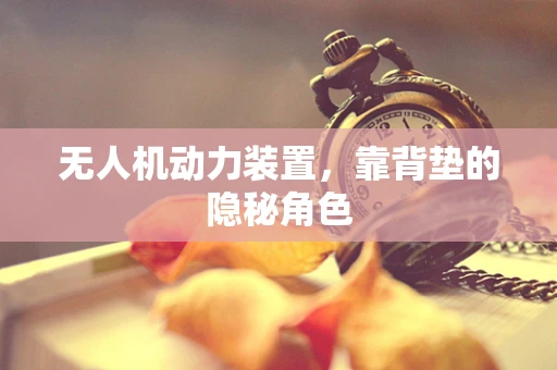 无人机动力装置，靠背垫的隐秘角色