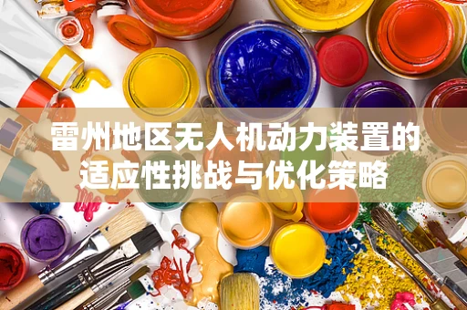 雷州地区无人机动力装置的适应性挑战与优化策略
