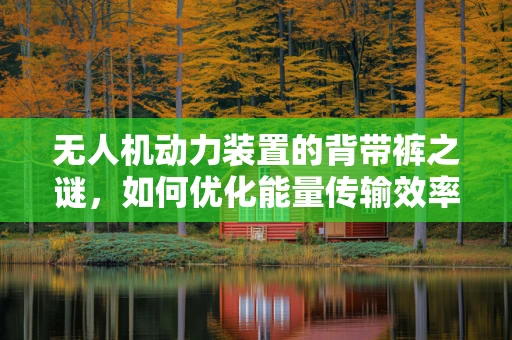 无人机动力装置的背带裤之谜，如何优化能量传输效率？