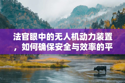 法官眼中的无人机动力装置，如何确保安全与效率的平衡？