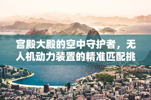 宫殿大殿的空中守护者，无人机动力装置的精准匹配挑战