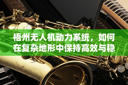 梧州无人机动力系统，如何在复杂地形中保持高效与稳定？