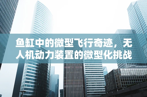 鱼缸中的微型飞行奇迹，无人机动力装置的微型化挑战