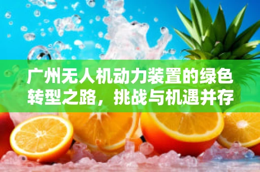 广州无人机动力装置的绿色转型之路，挑战与机遇并存