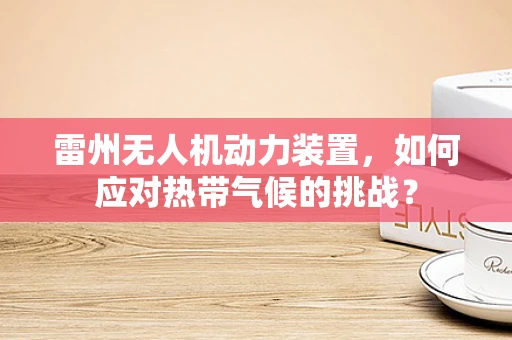 雷州无人机动力装置，如何应对热带气候的挑战？
