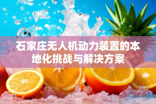 石家庄无人机动力装置的本地化挑战与解决方案