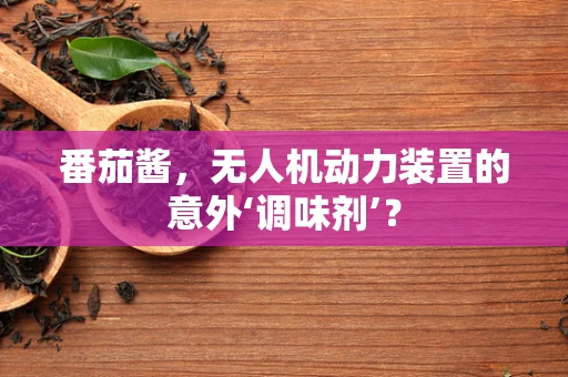 番茄酱，无人机动力装置的意外‘调味剂’？