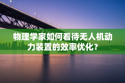 物理学家如何看待无人机动力装置的效率优化？