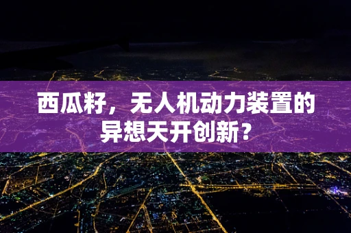 西瓜籽，无人机动力装置的异想天开创新？