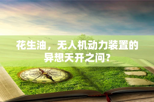 花生油，无人机动力装置的异想天开之问？