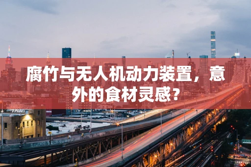 腐竹与无人机动力装置，意外的食材灵感？