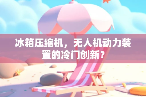 冰箱压缩机，无人机动力装置的冷门创新？
