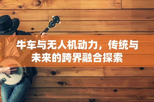 牛车与无人机动力，传统与未来的跨界融合探索