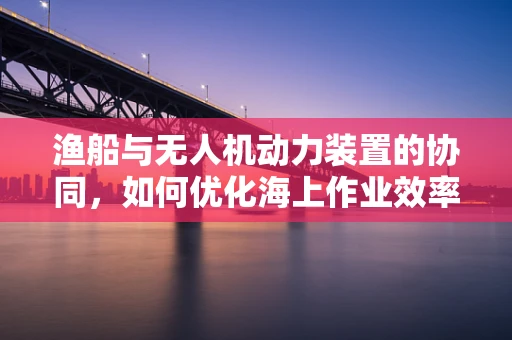 渔船与无人机动力装置的协同，如何优化海上作业效率？