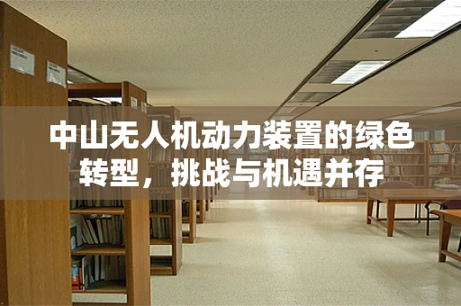中山无人机动力装置的绿色转型，挑战与机遇并存