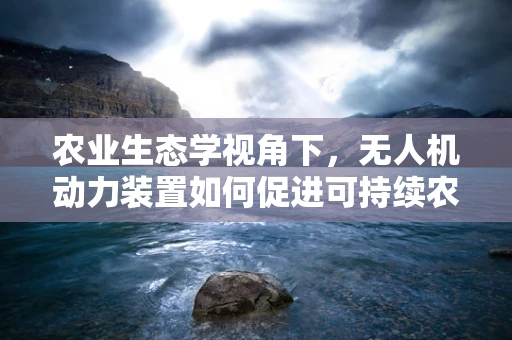 农业生态学视角下，无人机动力装置如何促进可持续农业发展？