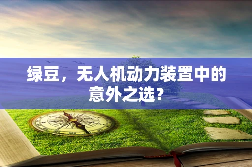 绿豆，无人机动力装置中的意外之选？