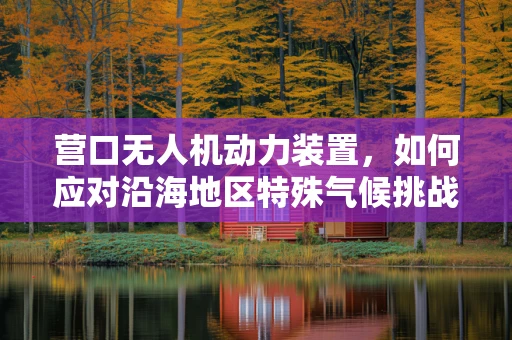 营口无人机动力装置，如何应对沿海地区特殊气候挑战？
