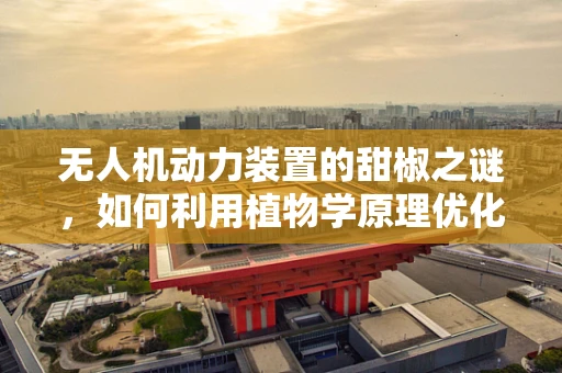 无人机动力装置的甜椒之谜，如何利用植物学原理优化电池效率？